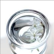 Glass Throughout History